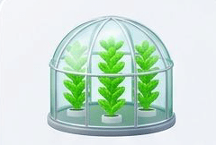 گلخانه هیدورپونیک